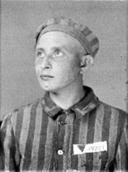 Miniatura: Banderowcy w Auschwitz