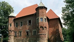 Miniatura: Burzliwe dzieje Dębna