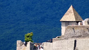 Miniatura: Dyplomatyczna wojna Kazimierza Wielkiego....