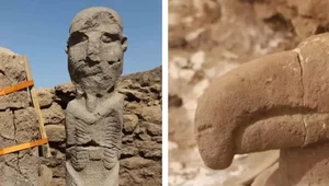 Miniatura: Kolejne niezwykłe odkrycie w Göbekli Tepe....