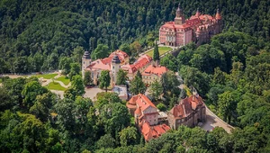 Miniatura: Szczątki Hochbergów w nieoczekiwanym...
