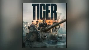 Miniatura: Tygrys na samotnych łowach