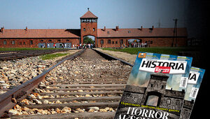 Miniatura: Horror Auschwitz. Eksperymenty medyczne i...