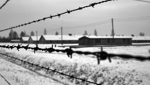 Miniatura: "Sterty wychudzonych ciał". 81 lat temu...