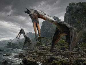 Miniatura: Karłowate dinozaury. Fenomen...