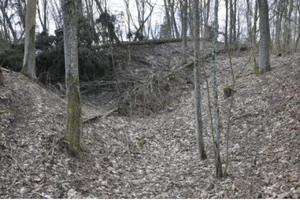 Miniatura: Zaginione miasto w środku puszczy. Polscy...