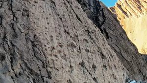 Miniatura: Widok wprawił w osłupienie. "Autostrada"...