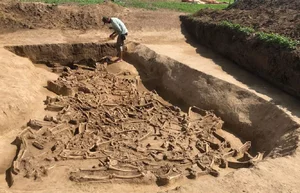 Miniatura: Zbiorowa mogiła ciał pozbawionych głów....