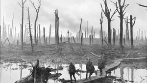 Miniatura: Bitwa w błocie