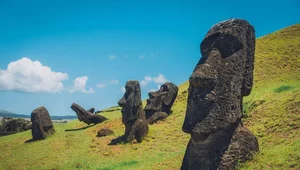 Miniatura: Moai naprawdę potrafiły "chodzić"....