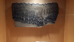 Miniatura: Od monet po cyrkon. Dziesięć najstarszych...