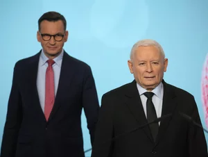 Miniatura: Gociek, Gmyz: W PiS zabawa na całego