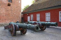 Miniatura: Taraśnice, kolubryny i kartauny