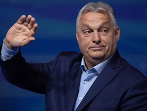 Miniatura: Dlaczego Fidesz przegrał? Lisicki wskazał...