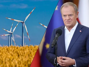 Miniatura: Niezłomny apostoł wiatraków