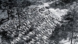 Miniatura: Kto wydał rozkaz wymordowania Polaków w...