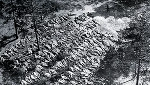 Miniatura: Kto wydał rozkaz wymordowania Polaków w...