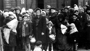 Miniatura: Polak uratował 400 Żydów z Holokaustu....