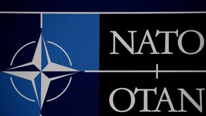 Miniatura: NATO. Organizacja Traktatu...