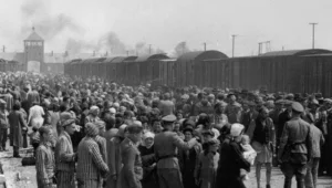 Miniatura: Żydzi błagali o zbombardowanie Auschwitz....