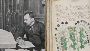 Miniatura: Kod Voynicha