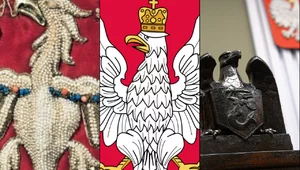 Miniatura: QUIZ: Polskie symbole. Chyba każdy z nas...