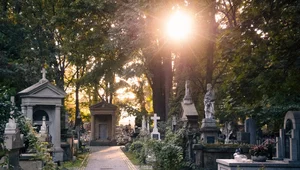 Miniatura: Najważniejsze miejsca dla polskiej...