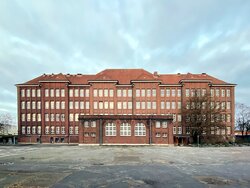 Miniatura: Brunatne diabły w kitlach