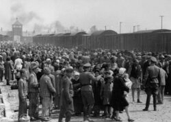 Miniatura: Żydzi błagali o zbombardowanie Auschwitz....