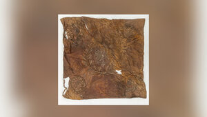 Miniatura: MKiDN odmówiło pieniędzy na renowację...