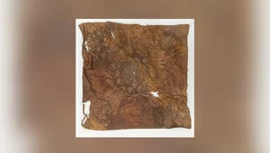 Miniatura: MKiDN odmówiło pieniędzy na renowację...