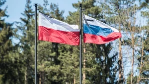 Miniatura: Rosyjski pisarz z polskim herbem i rodowodem