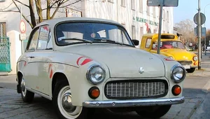 Miniatura: Królowa polskich szos