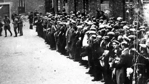 Miniatura: Eksterminacja polskiej elity. Niemcy...