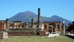 Miniatura: Co jedli niewolnicy? Nowe odkrycie może...