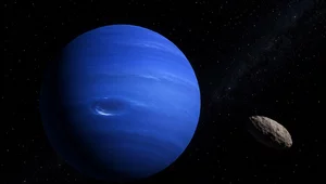 Miniatura: Nietypowy księżyc Neptuna. To może być...