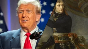 Miniatura: Donald Bonaparte