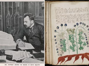 Miniatura: Kod Voynicha