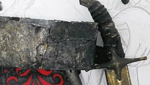 Miniatura: Pobojowiska wyjątkowe