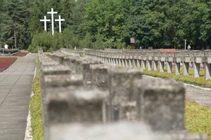 Miniatura: Rzeź szczegółowo zaplanowali. Niemcy...