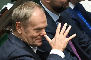 Miniatura: Nos czekający na gumce