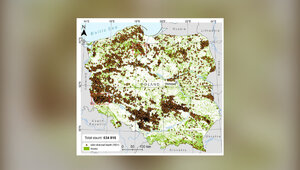 Miniatura: 630 tys. stanowisk po wypałach. Tyle...