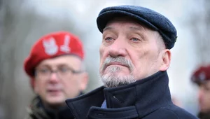 Miniatura: Macierewicz: PiS jak najszybciej musi...