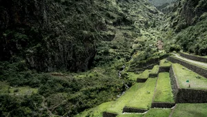 Miniatura: Inkaski skarb odkryty przez przypadek....