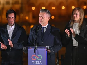 Miniatura: Lisicki: Magyar szybko zaskoczy...