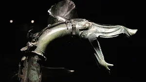 Miniatura: Epokowe znalezisko. Dźwięk tej trąby...