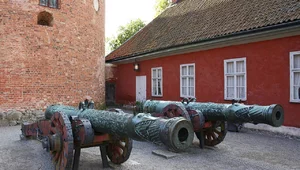 Miniatura: Taraśnice, kolubryny i kartauny