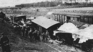 Miniatura: Siali postrach. Elita sabotażu Polskiego...