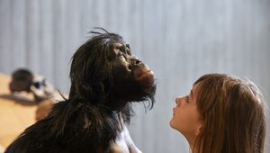 Lucy. Człowiek czy małpa? Najsłynniejszy szkielet w dziejach nauki