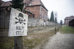 Miniatura: Jak uciekłem z Auschwitz